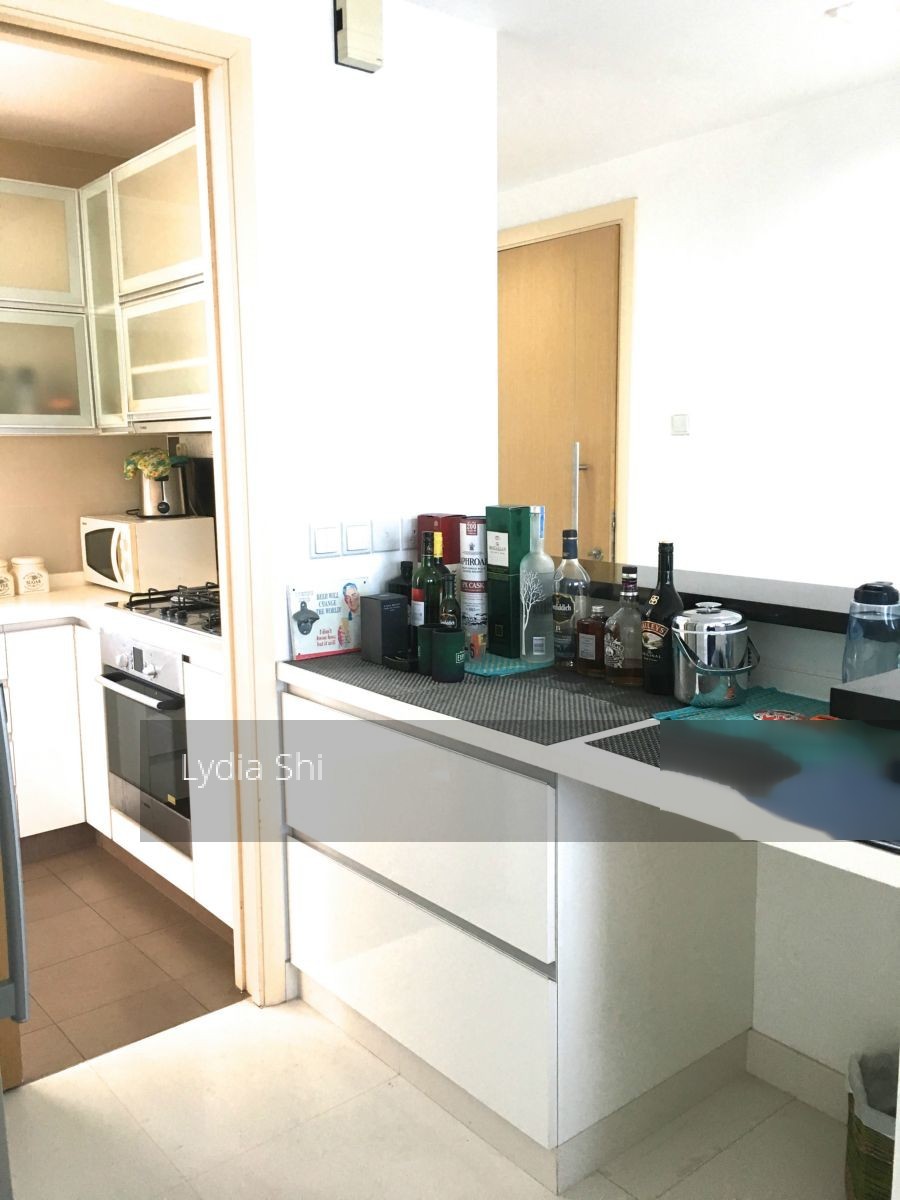 Meyer Residence (D15), Apartment #119395892